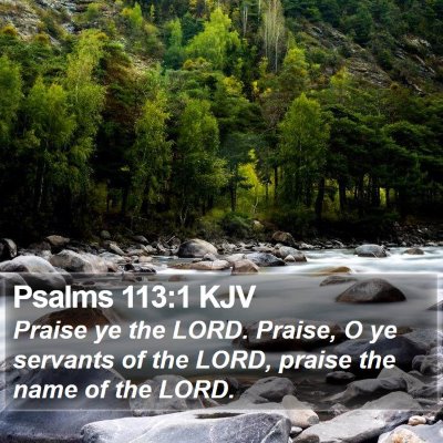 Psalms 113:1 KJV Bible Verse Image