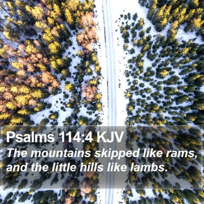 Psalms 114:4 KJV Bible Verse Image