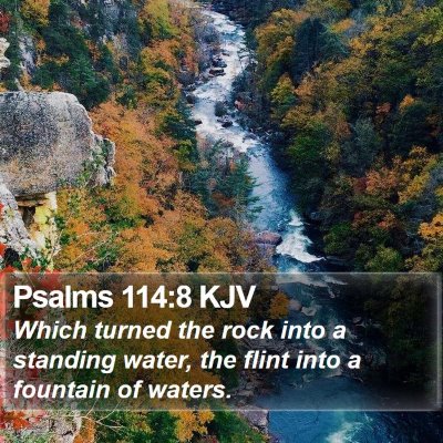 Psalms 114:8 KJV Bible Verse Image