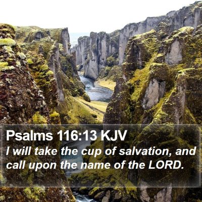Psalms 116:13 KJV Bible Verse Image
