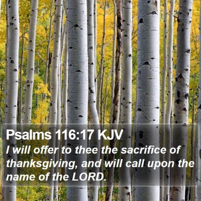 Psalms 116:17 KJV Bible Verse Image