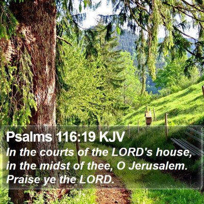Psalms 116:19 KJV Bible Verse Image