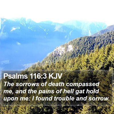 Psalms 116:3 KJV Bible Verse Image