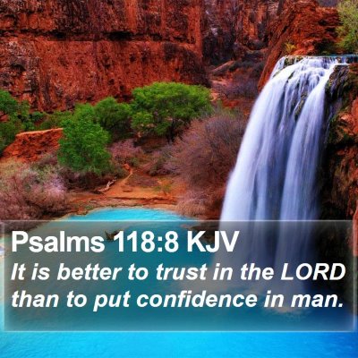 Psalms 118:8 KJV Bible Verse Image