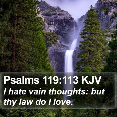 Psalms 119:113 KJV Bible Verse Image