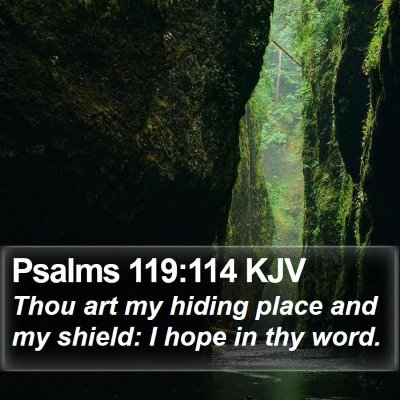 Psalms 119:114 KJV Bible Verse Image