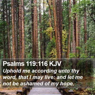 Psalms 119:116 KJV Bible Verse Image