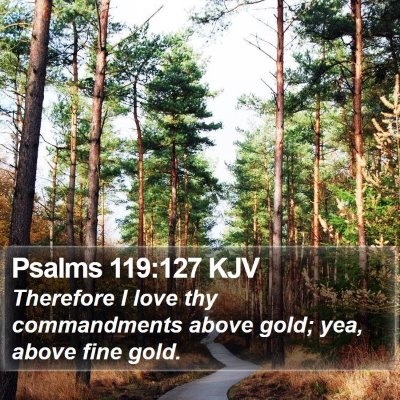 Psalms 119:127 KJV Bible Verse Image