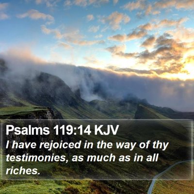 Psalms 119:14 KJV Bible Verse Image