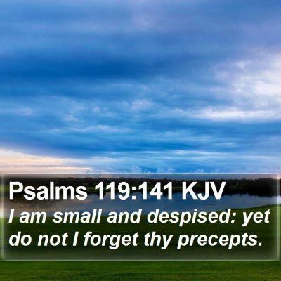 Psalms 119:141 KJV Bible Verse Image