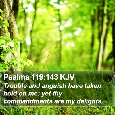 Psalms 119:143 KJV Bible Verse Image