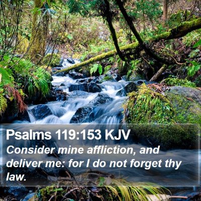 Psalms 119:153 KJV Bible Verse Image