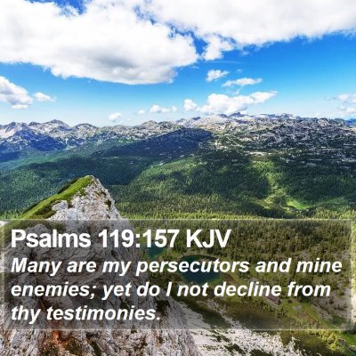 Psalms 119:157 KJV Bible Verse Image
