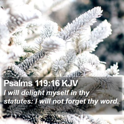 Psalms 119:16 KJV Bible Verse Image