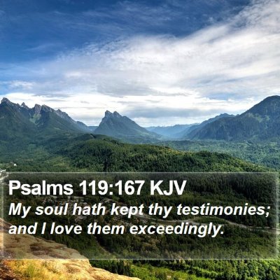 Psalms 119:167 KJV Bible Verse Image