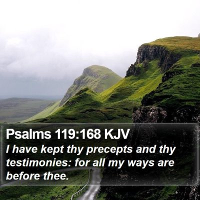 Psalms 119:168 KJV Bible Verse Image