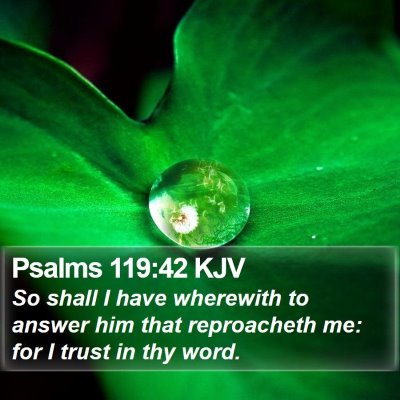 Psalms 119:42 KJV Bible Verse Image