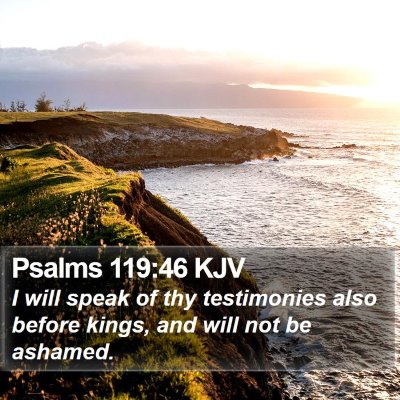 Psalms 119:46 KJV Bible Verse Image