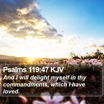 Psalms 119:47 KJV Bible Verse Image