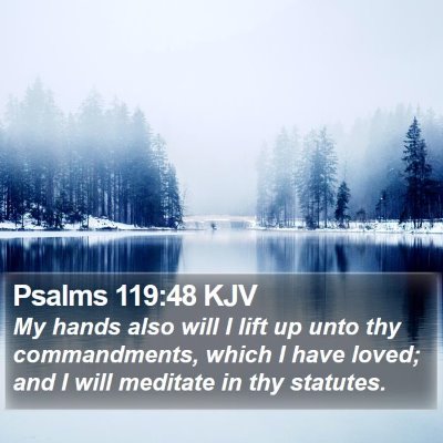 Psalms 119:48 KJV Bible Verse Image