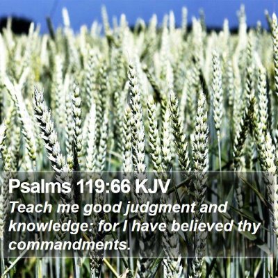 Psalms 119:66 KJV Bible Verse Image