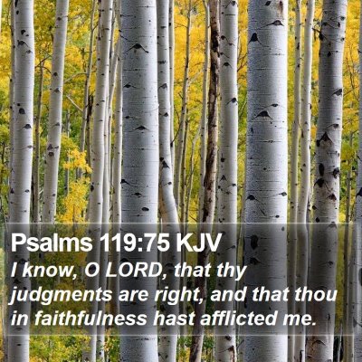 Psalms 119:75 KJV Bible Verse Image