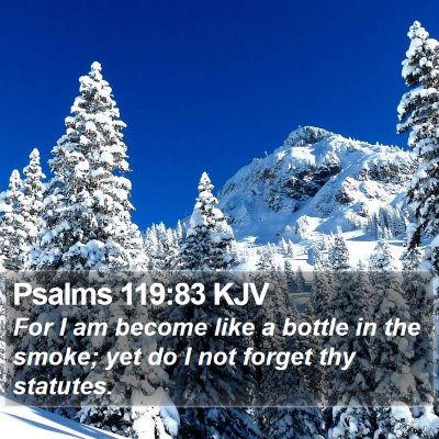 Psalms 119:83 KJV Bible Verse Image