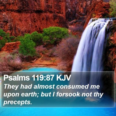 Psalms 119:87 KJV Bible Verse Image