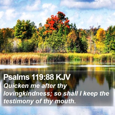 Psalms 119:88 KJV Bible Verse Image