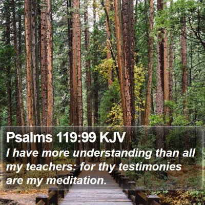 Psalms 119:99 KJV Bible Verse Image
