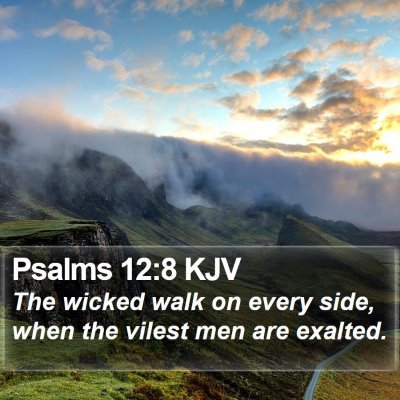 Psalms 12:8 KJV Bible Verse Image