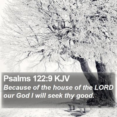 Psalms 122:9 KJV Bible Verse Image