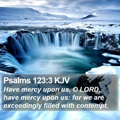 Psalms 123:3 KJV Bible Verse Image