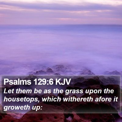 Psalms 129:6 KJV Bible Verse Image