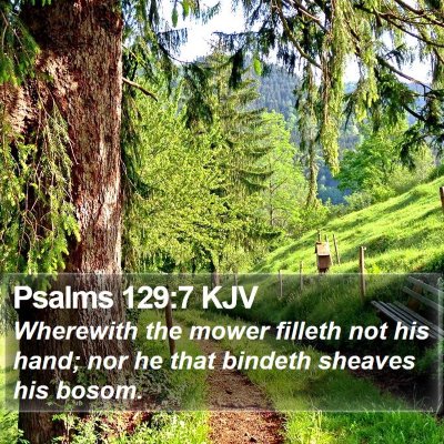 Psalms 129:7 KJV Bible Verse Image