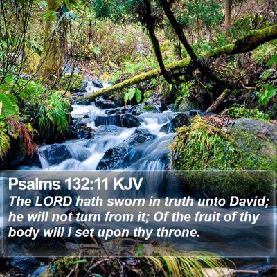 Psalms 132:11 KJV Bible Verse Image