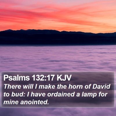 Psalms 132:17 KJV Bible Verse Image