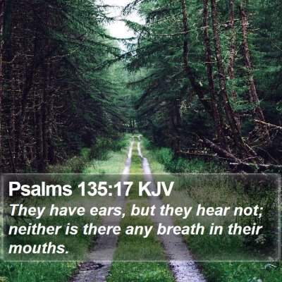 Psalms 135:17 KJV Bible Verse Image