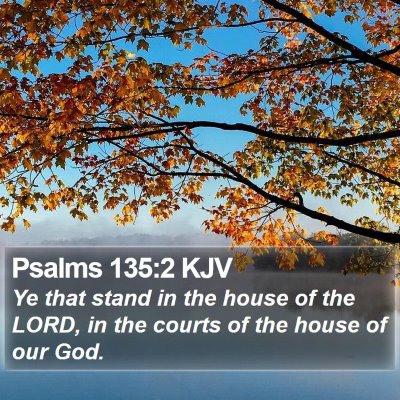 Psalms 135:2 KJV Bible Verse Image