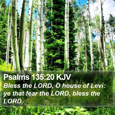 Psalms 135:20 KJV Bible Verse Image