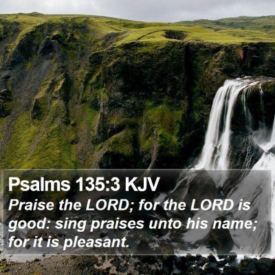 Psalms 135:3 KJV Bible Verse Image