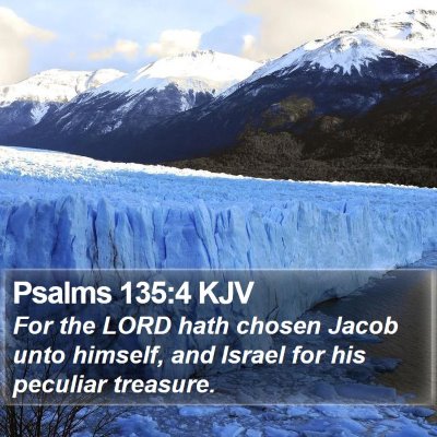 Psalms 135:4 KJV Bible Verse Image