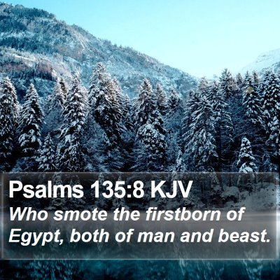 Psalms 135:8 KJV Bible Verse Image