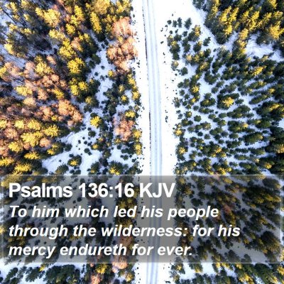 Psalms 136:16 KJV Bible Verse Image