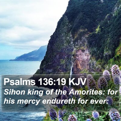 Psalms 136:19 KJV Bible Verse Image