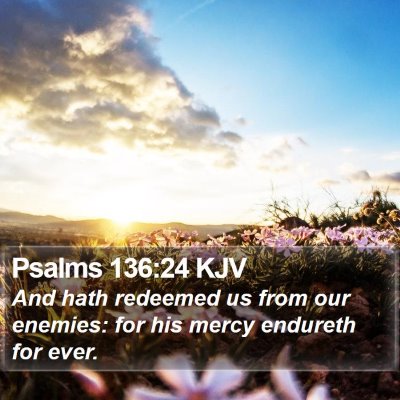 Psalms 136:24 KJV Bible Verse Image