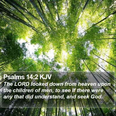 Psalms 14:2 KJV Bible Verse Image
