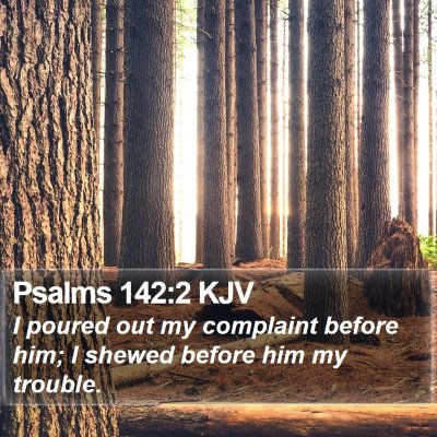 Psalms 142:2 KJV Bible Verse Image