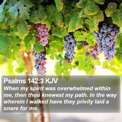 Psalms 142:3 KJV Bible Verse Image