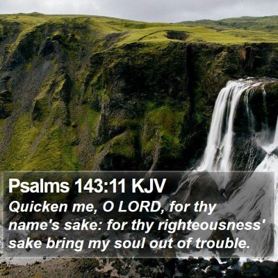 Psalms 143:11 KJV Bible Verse Image